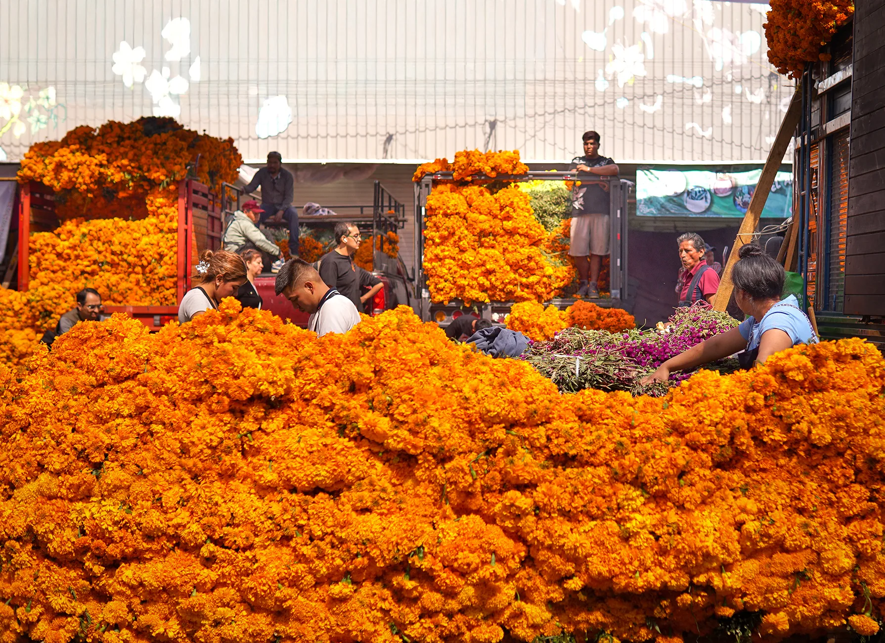 Entre flores, velas y aromas: así se vive el Día de Muertos en el Mercado Jamaica
