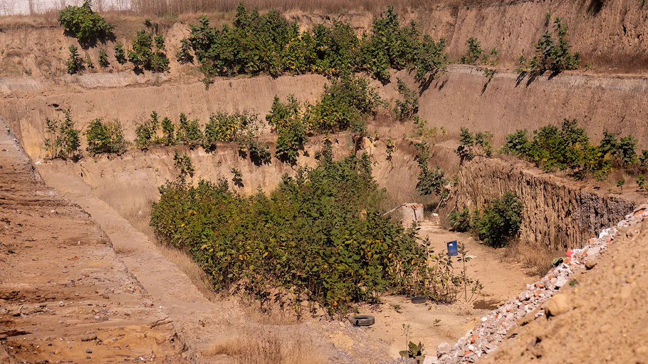 Defensa del territorio y reforestación en el Basurero Intermunicipal de Cholula