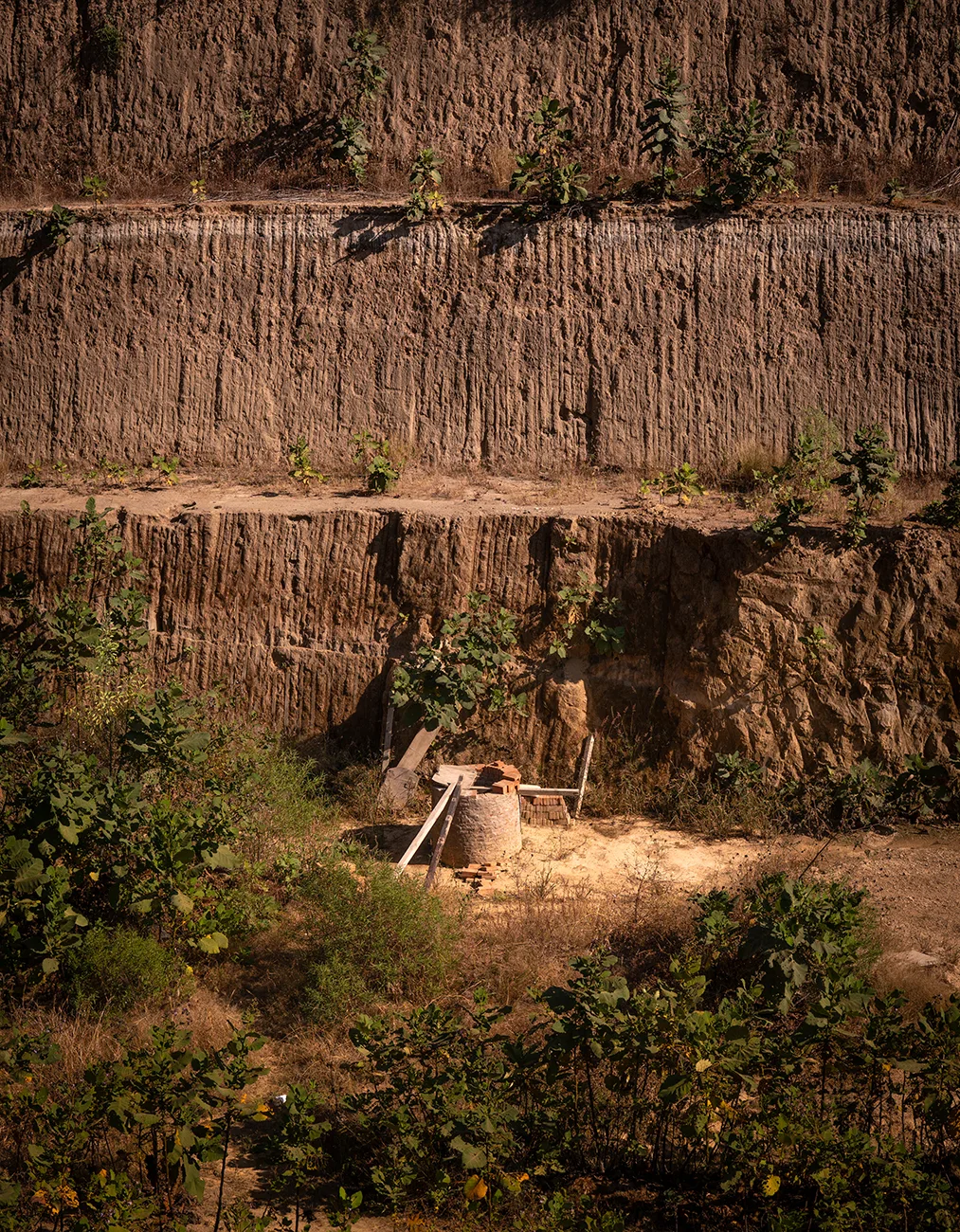 Defensa del territorio y reforestación en el Basurero Intermunicipal de Cholula