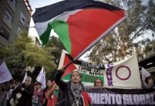 Miles marchan en la CDMX por el Día Internacional de Solidaridad con Palestina Marcha por el Día Internacional de Solidaridad con Palestina en la CDMX, noviembre 2025