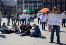 Una marcha disputada entre generaciones: contrastes, tensiones y testimonios del 15 de noviembre en CDMX