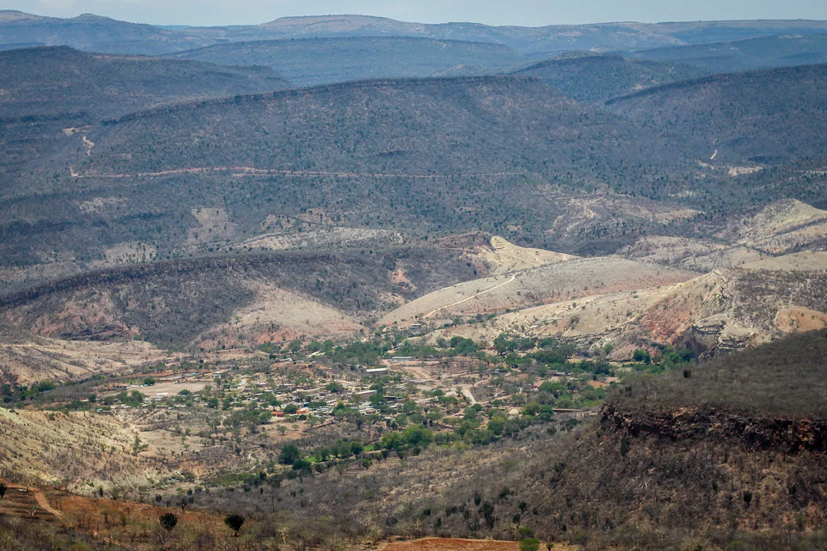 Azqueltán, Jalisco: tepehuanes y wixárikas defienden su autonomía