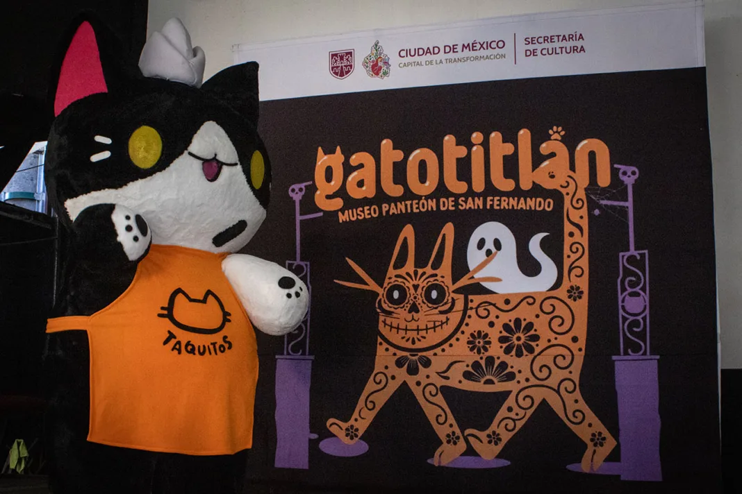 El Museo Panteón de San Fernando presentó la segunda edición de "Gatotitlán otoño 2025", festival que busca concienciar sobre la importancia de bienestar felina para promover una ciudad más animalista y libre de maltrato. El Museo Panteón de San Fernando presentó la segunda edición de "Gatotitlán otoño 2025", festival que busca concienciar sobre la importancia de bienestar felina para promover una ciudad más animalista y libre de maltrato.