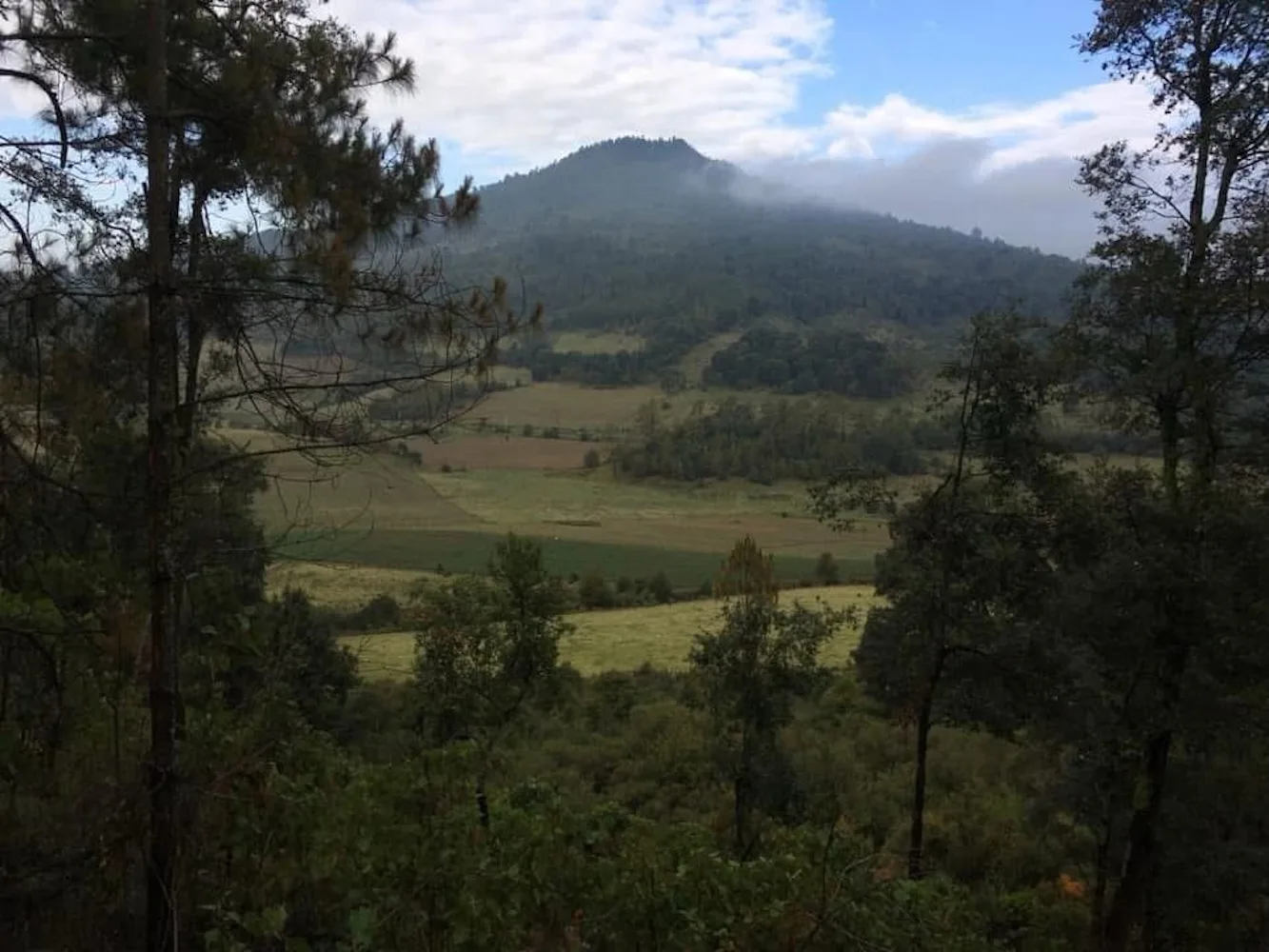 En Nahuatzen, las abejas también son defensoras del territorio