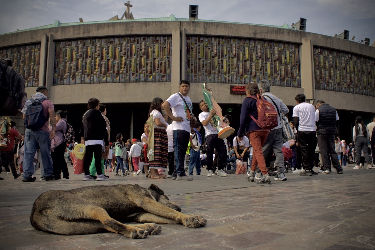 Peregrinación a la Basílica de Guadalupe 2025: millones de fieles llegan al Cerro del Tepeyac