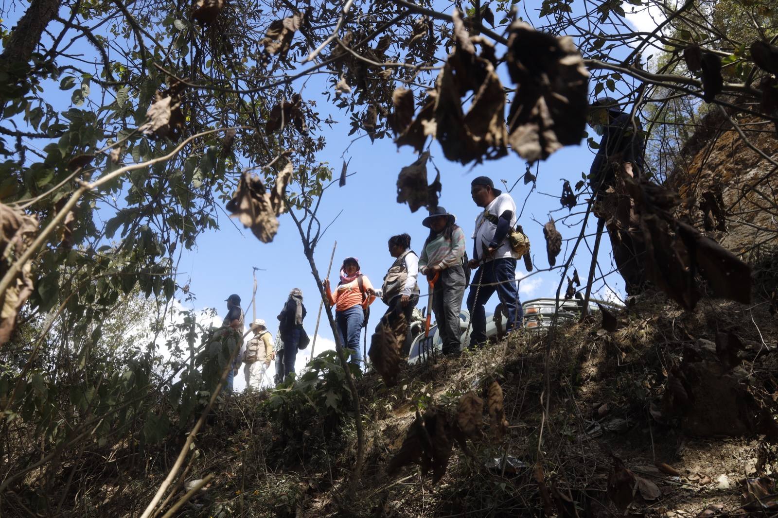En la Montaña, “nunca me voy a cansar de buscarte”