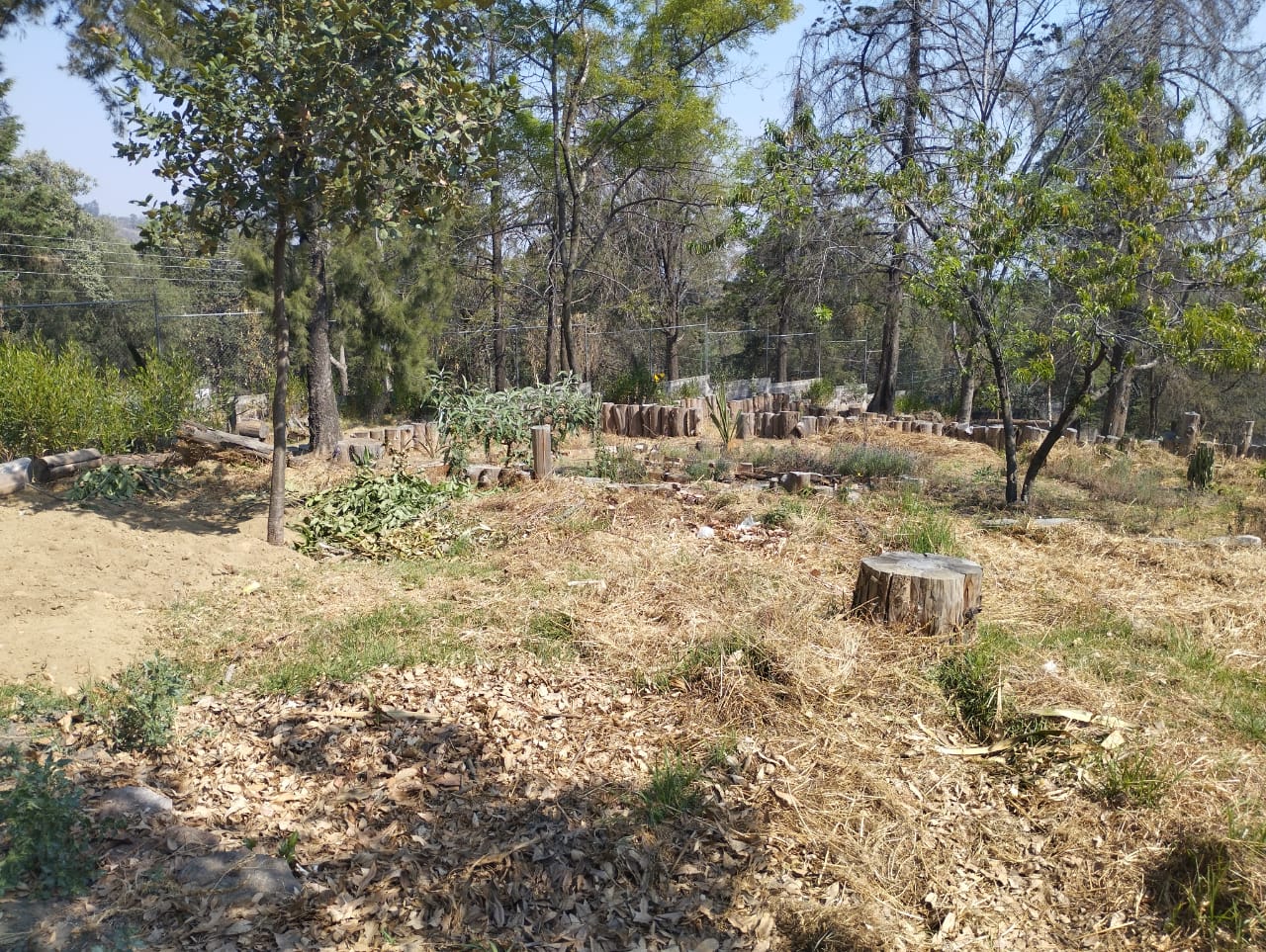 Comunidad de San Mateo Xalpa se moviliza para detener obra en zona de recarga de mantos acuíferos