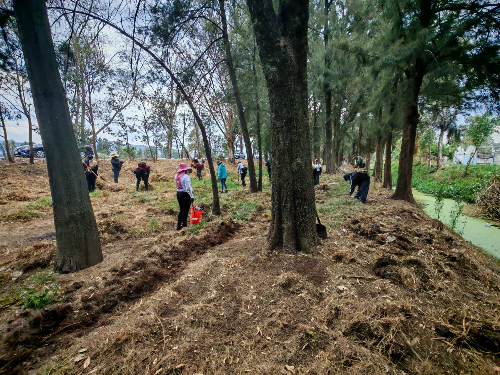 Hallan 219 restos óseos humanos en lagunas de La Habana durante jornada de búsqueda Tláhuac-Chalco