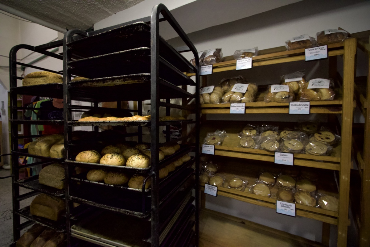 En la colonia Santa María la Ribera, el aroma a pan recién horneado va más allá de una invitación al consumo; es una declaración de principios. En una Ciudad de México marcada por la especulación, la cooperativa Vendaval surge como un espacio donde el trabajo no se mide en plusvalía, sino en comunidad y en una herencia política que se amasa día a día.