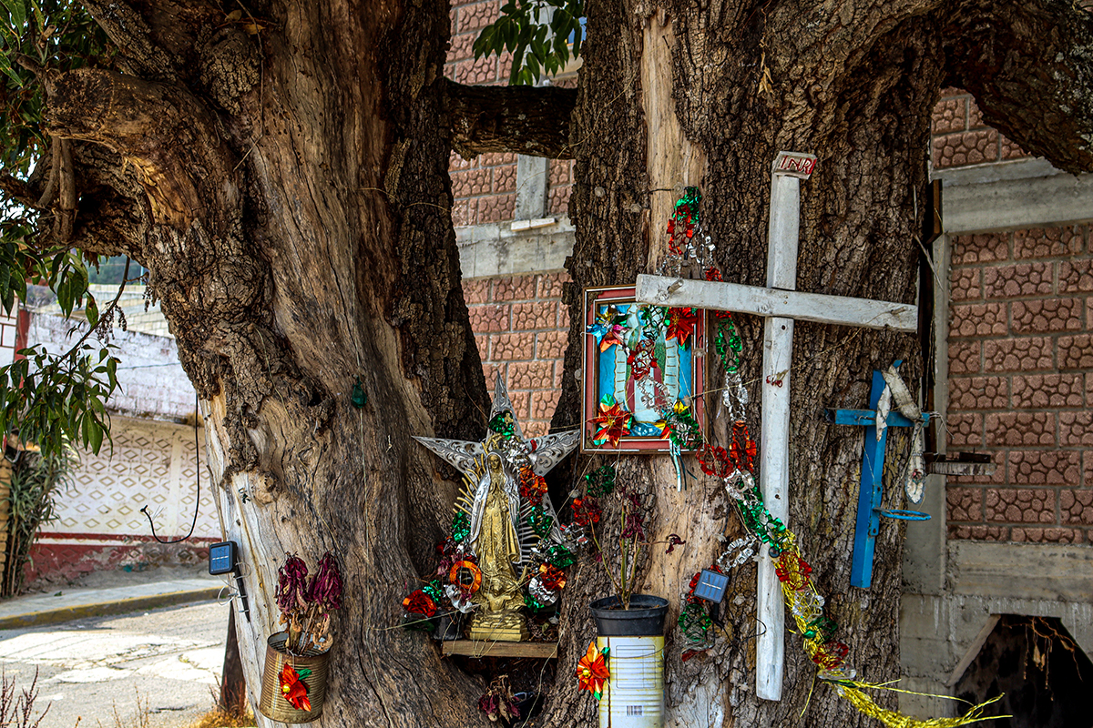 Miles de "chalmeros" caminan desde la Ciudad de México hasta el Santuario del Señor de Chalma en Semana Santa 2026