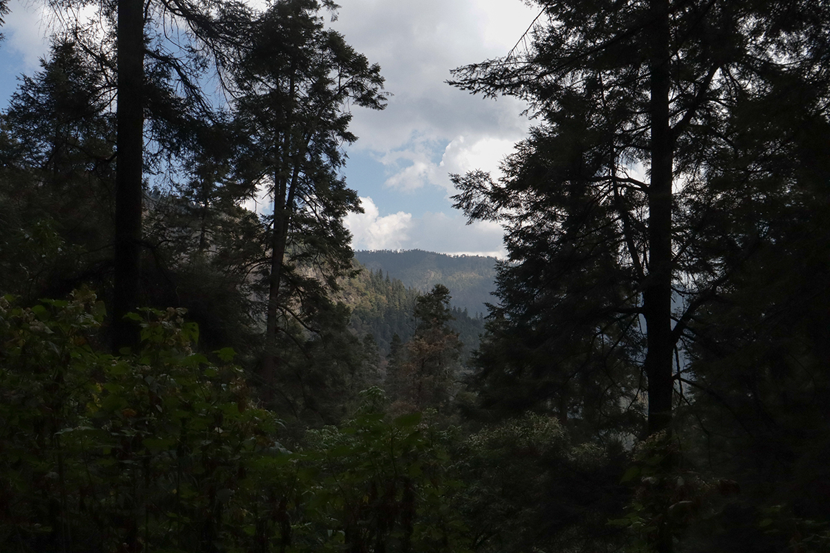 Caminata Climática en Los Dinamos: ciencia, comunidad y territorio en la sexta edición del TierraFest