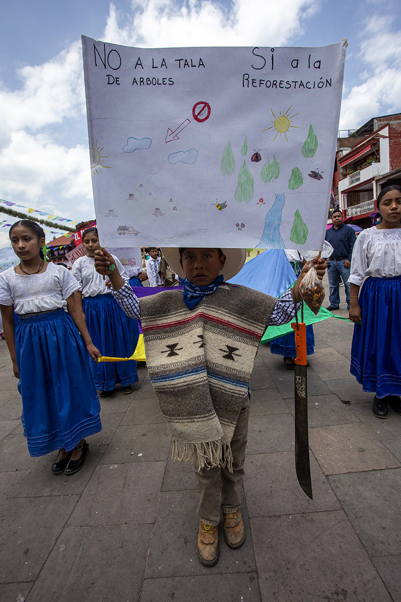 Cherán K'eri, 15 años sin partidos: el pueblo que se gobernó solo