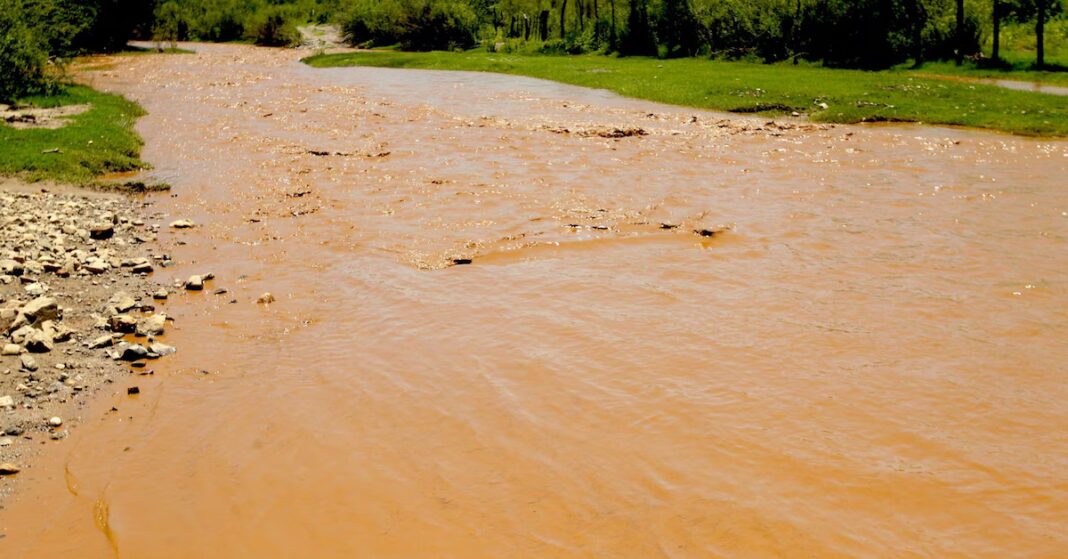 Los Comités de Cuenca del Río Sonora denuncian el ocultamiento de información sobre el convenio entre el Gobierno y la empresa Grupo México pues no muestran los anexos técnicos ni los proyectos clave para la remediación del Rio y a las comunidades afectadas. Los Comités de Cuenca del Río Sonora denuncian el ocultamiento de información sobre el convenio entre el Gobierno y la empresa Grupo México pues no muestran los anexos técnicos ni los proyectos clave para la remediación del Rio y a las comunidades afectadas.