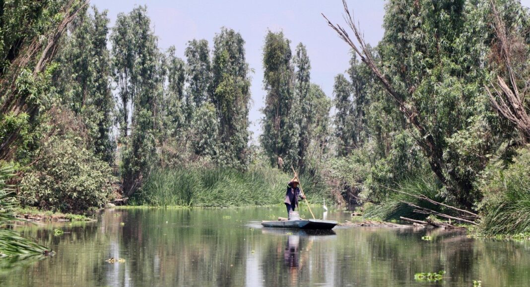 Imagen1 Las chinampas de Tláhuac: agricultura ancestral en resistencia contra el abandono y la expansión urbana
