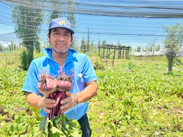 Las chinampas de Tláhuac: agricultura ancestral en resistencia contra el abandono y la expansión urbana