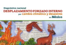 México presenta primer diagnóstico sobre desplazamiento forzado por cambio climático y desastres Diagnóstico nacional sobre el desplazamiento forzado interno por cambio climático y desastres en México