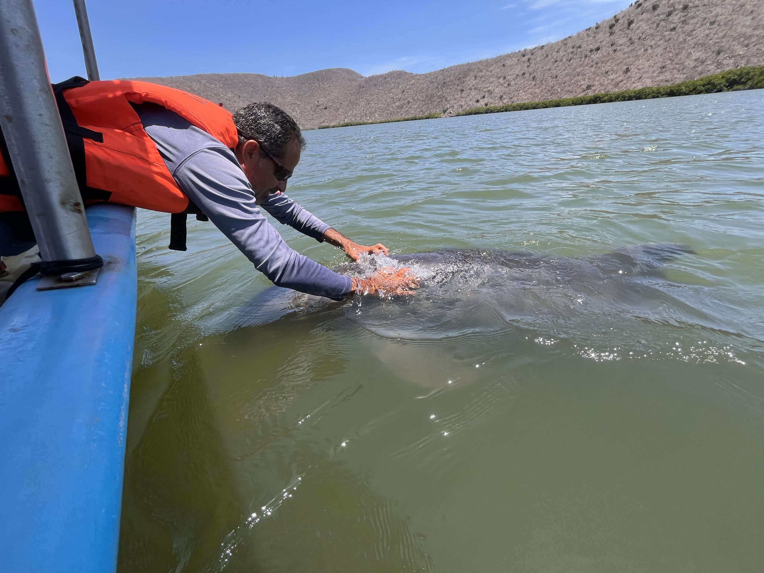 Resistencia mayo-yoreme contra planta de amoniaco en Topolobampo