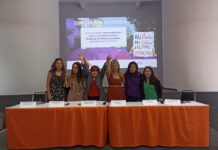 Organizaciones denuncian parálisis de las Alertas de Violencia de Género; tribunal ordena reactivar reglamento pendiente desde 2022 Organizaciones denuncian parálisis de las Alertas de Violencia de Género; tribunal ordena reactivar reglamento pendiente desde 2022