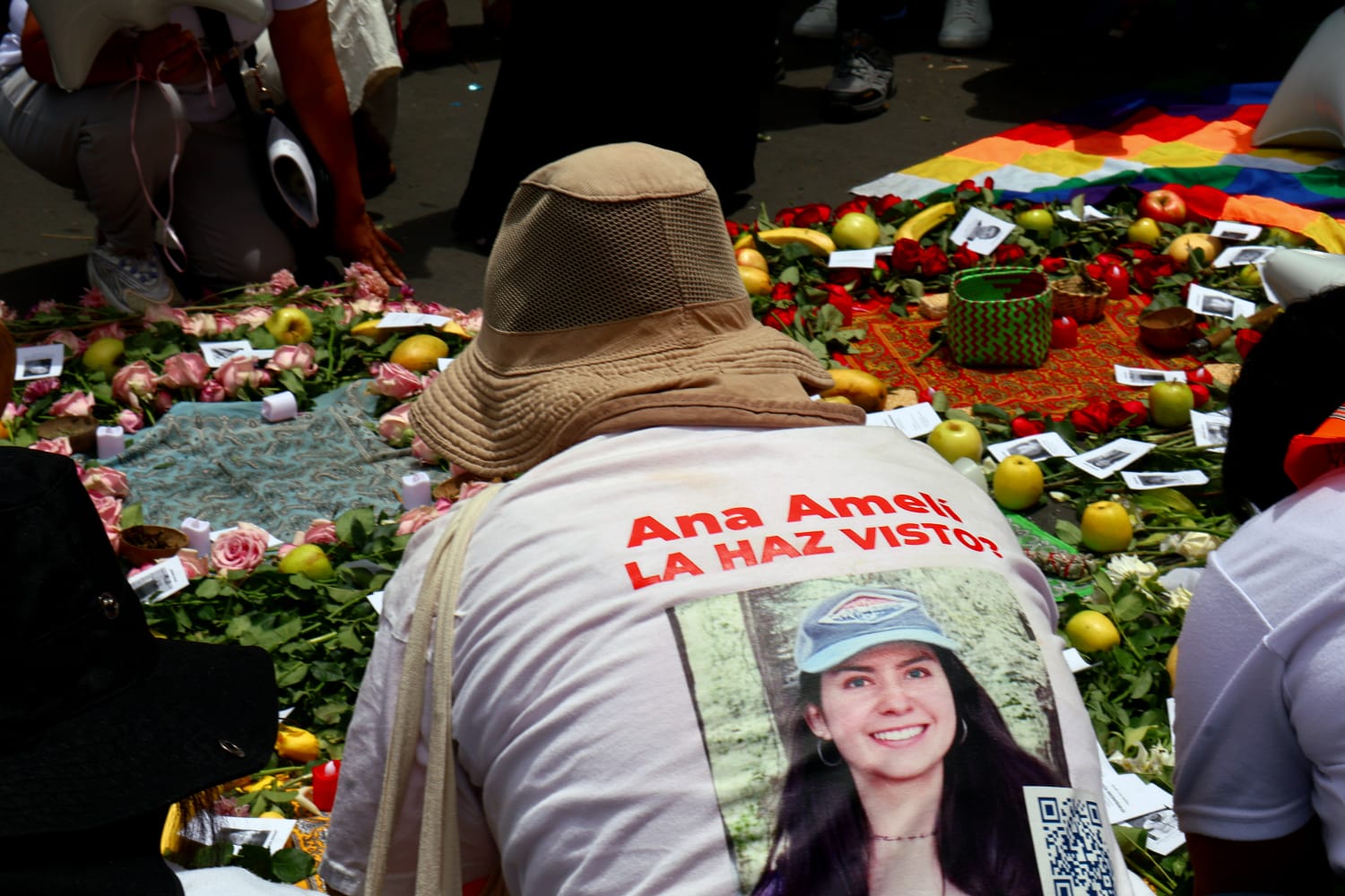 A 365 días sin Ana Amelí, familiares exigen a Sheinbaum localizar a los más de 135 mil desaparecidos