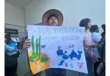 Mahahual llega a la Suprema Corte: se analizará proyecto Perfect Day de Royal Caribbean La SCJN analizará el caso de Mahahual,