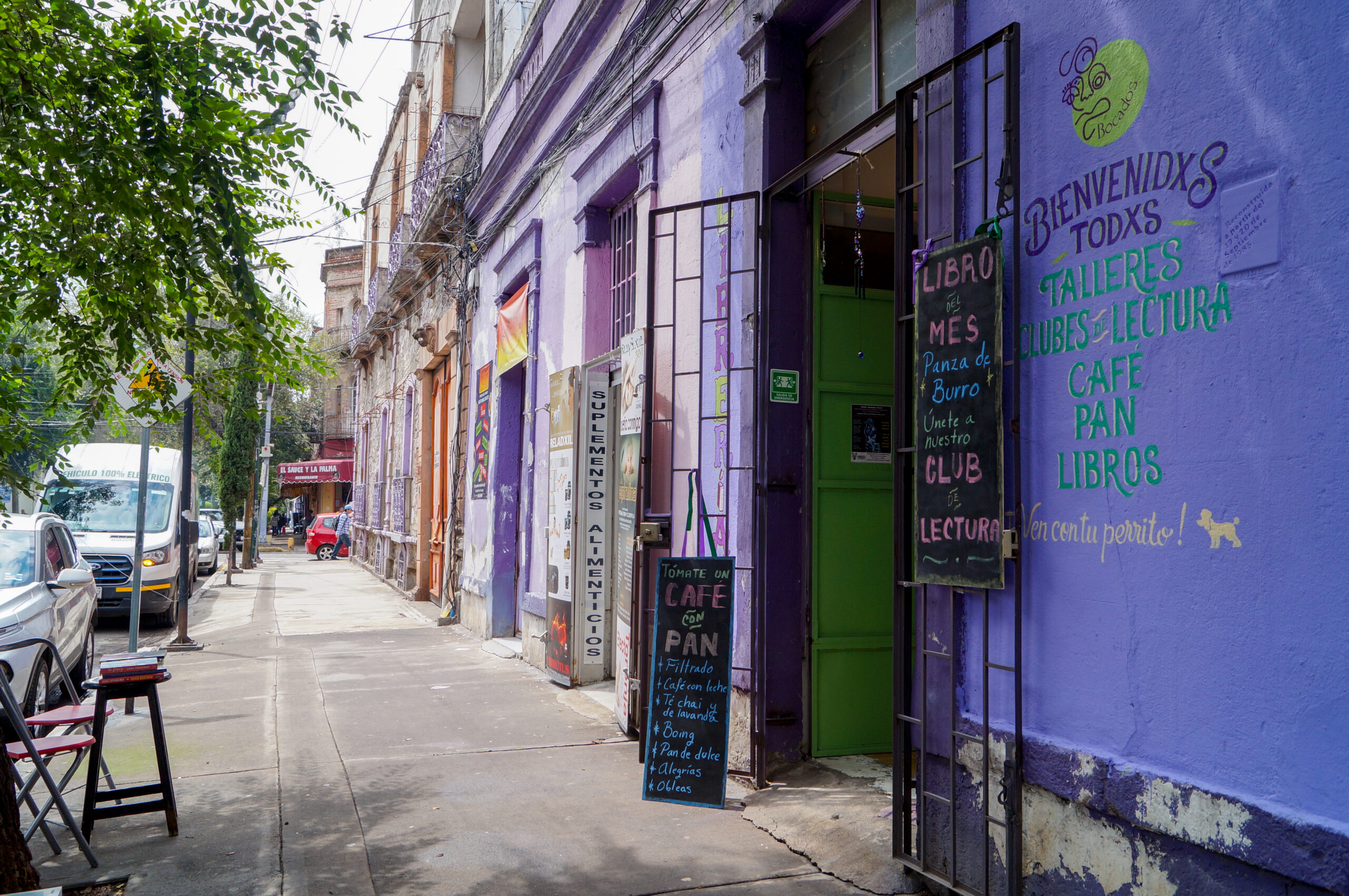 Bocados Literarios: una librería feminista que busca barrializar la lectura en Buenavista