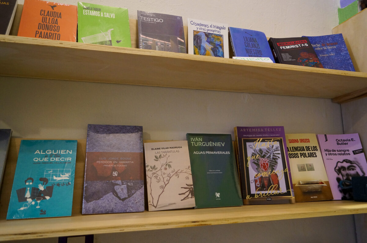 Bocados Literarios: una librería feminista que busca barrializar la lectura en Buenavista