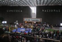 Lucha Trans instala su ring en la Cineteca Nacional: exigen retirar el proceso penal contra Razzia Santillán Lucha Trans instala su ring en la Cineteca Nacional: exigen retirar el proceso penal contra Razzia Santillán