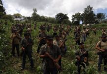 Pueblos nahuas de Guerrero exigen libertad de Jesús Plácido y denuncian criminalización Jesús Plácido Galindo