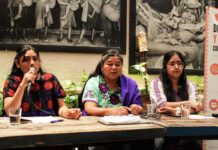 Cifras oficiales ocultan la magnitud de las desapariciones de personas indígenas, revela documentación comunitaria Cifras oficiales ocultan la magnitud de las desapariciones de personas indígenas, revela documentación comunitaria
