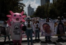 “Nuestros familiares no son cifras”: familias buscadoras exigen acciones contra las desapariciones en CDMX Desapariciones