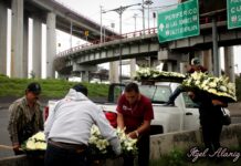 La Concordia a un año de la tragedia: entre el duelo, las cruces y la memoria Puente La Concordia
