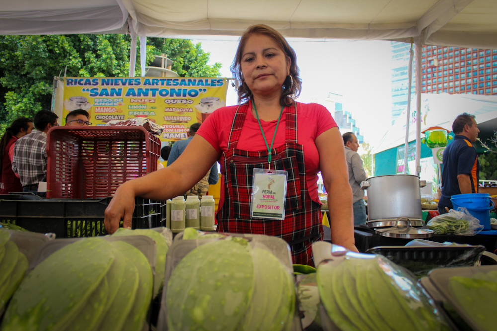 2ª Feria del nopal, en el monumento a la revolución