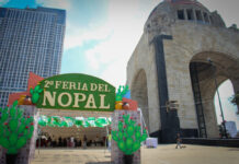 Feria del nopal 2026: El “oro verde” de Milpa Alta toma el centro de la CDMX entre la fiesta biocultural y el desafío del campo