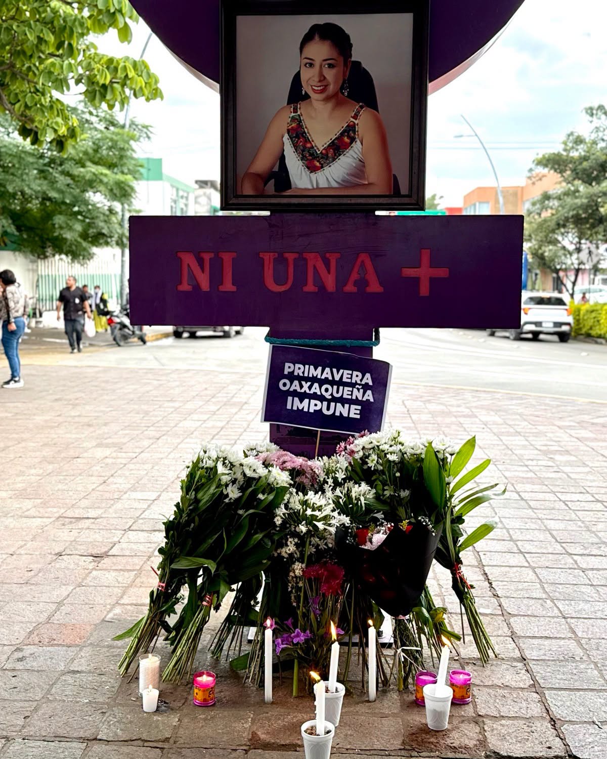 Sandra Estefana Domínguez Martínez: a dos años de su desaparición y feminicidio, su familia denuncia protección a los funcionarios que ella señaló
