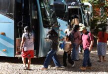 De Guerrero a Sinaloa: 94 jornaleros indígenas migran para trabajar en campos agrícolas De Guerrero a Sinaloa: 94 jornaleros indígenas migran para trabajar en campos agrícolas