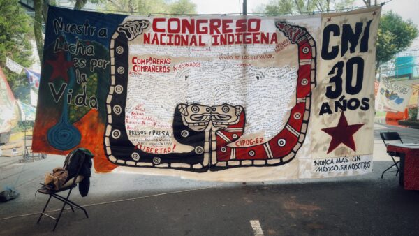 mClausura de la Asamblea del CNI 30 Aniversario. Isabel Sanginés