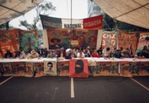 CNI treinta años de resistencia: los pueblos indígenas siguen de pie frente al despojo CNI treinta años de resistencia: los pueblos indígenas siguen de pie frente al despojo