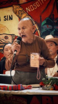 Clausura de la Asamblea del CNI 30 Aniversario. Isabel Sanginés